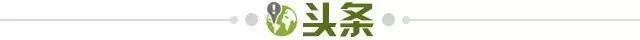 九游平台服务-【早报】四强≈小组前四！小组排名最可信的一集！